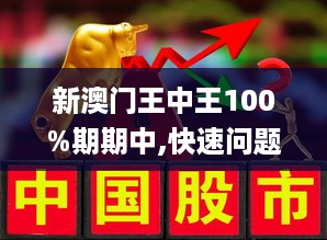 王中王100%期期准澳门，精选解析与落实策略