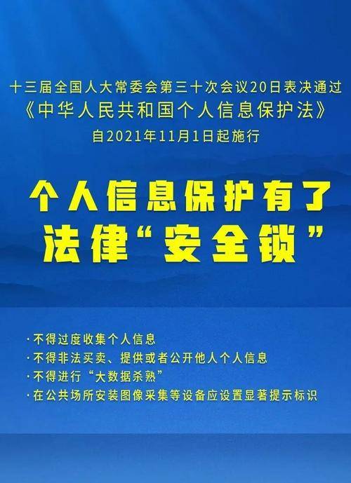 澳门免费资料精准大全，解析、解释与落实精选